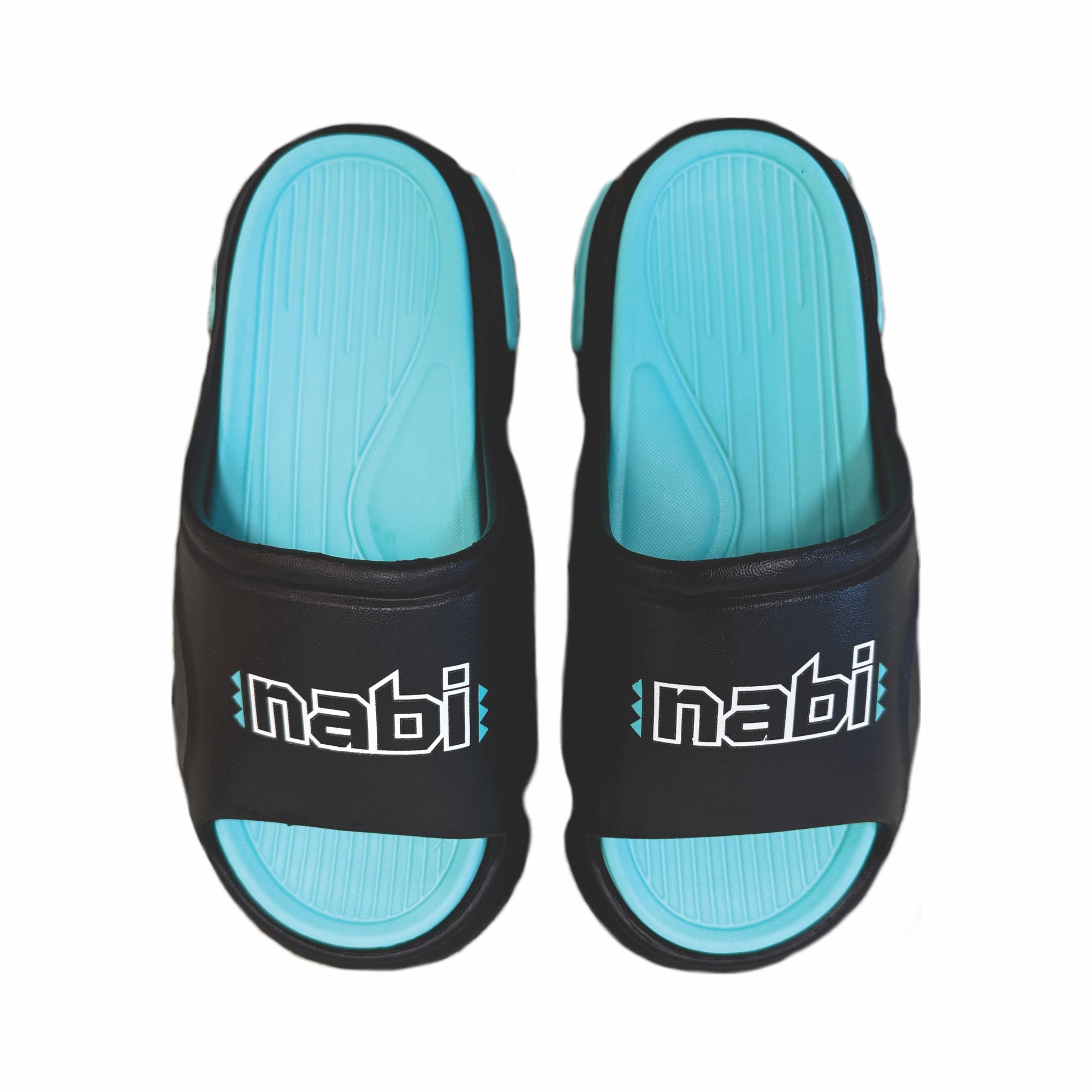 2025 NABI SLIDES